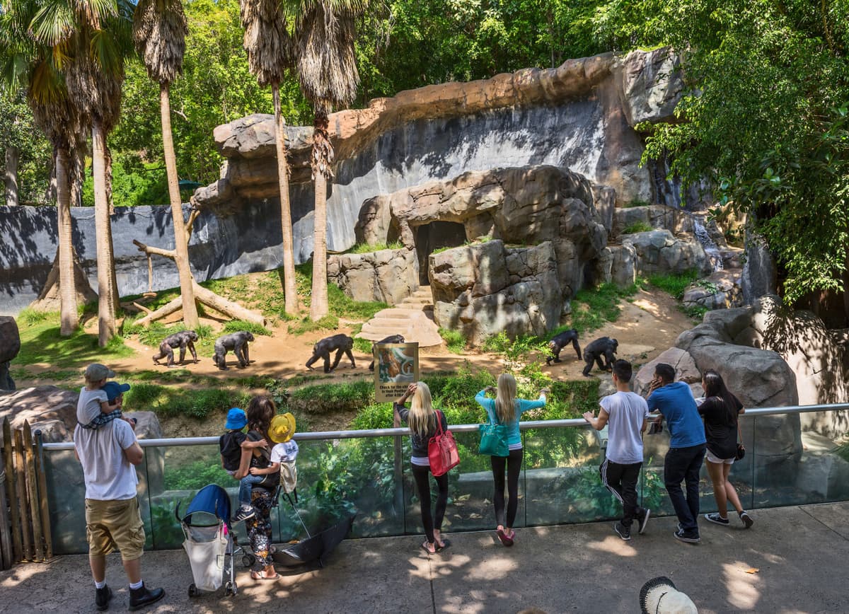 Go City Las Vegas Explorer Pass: Save up to 50% on Attractions