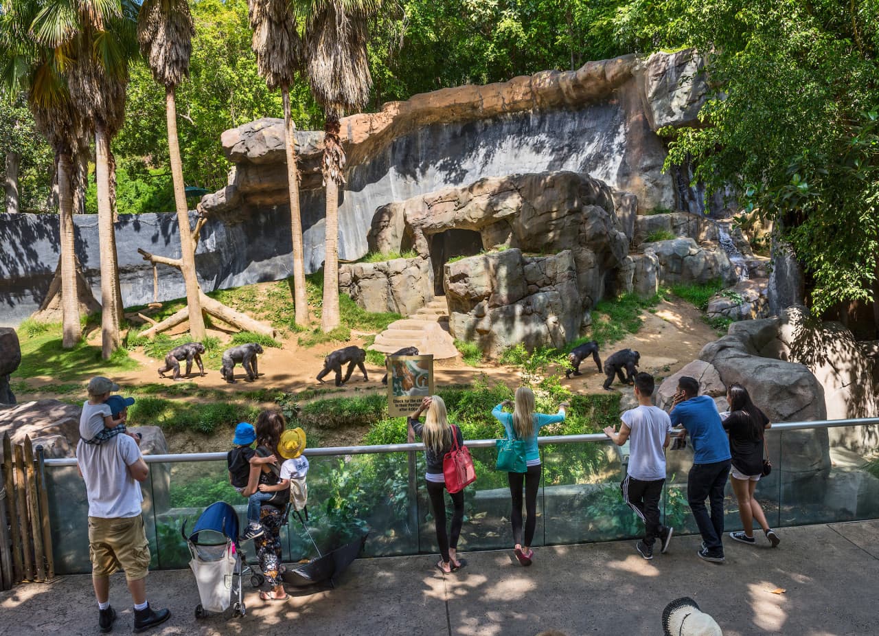 Go City Las Vegas Explorer Pass: Save up to 50% on Attractions