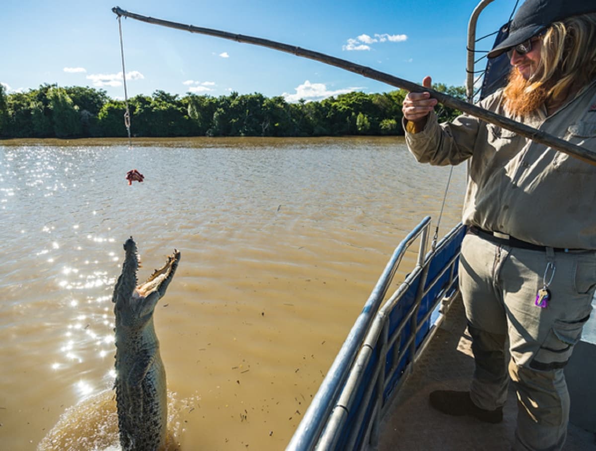 Spectacular Jumping Crocodile Cruise