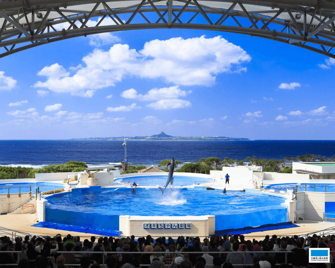 Okinawa Churaumi Aquarium