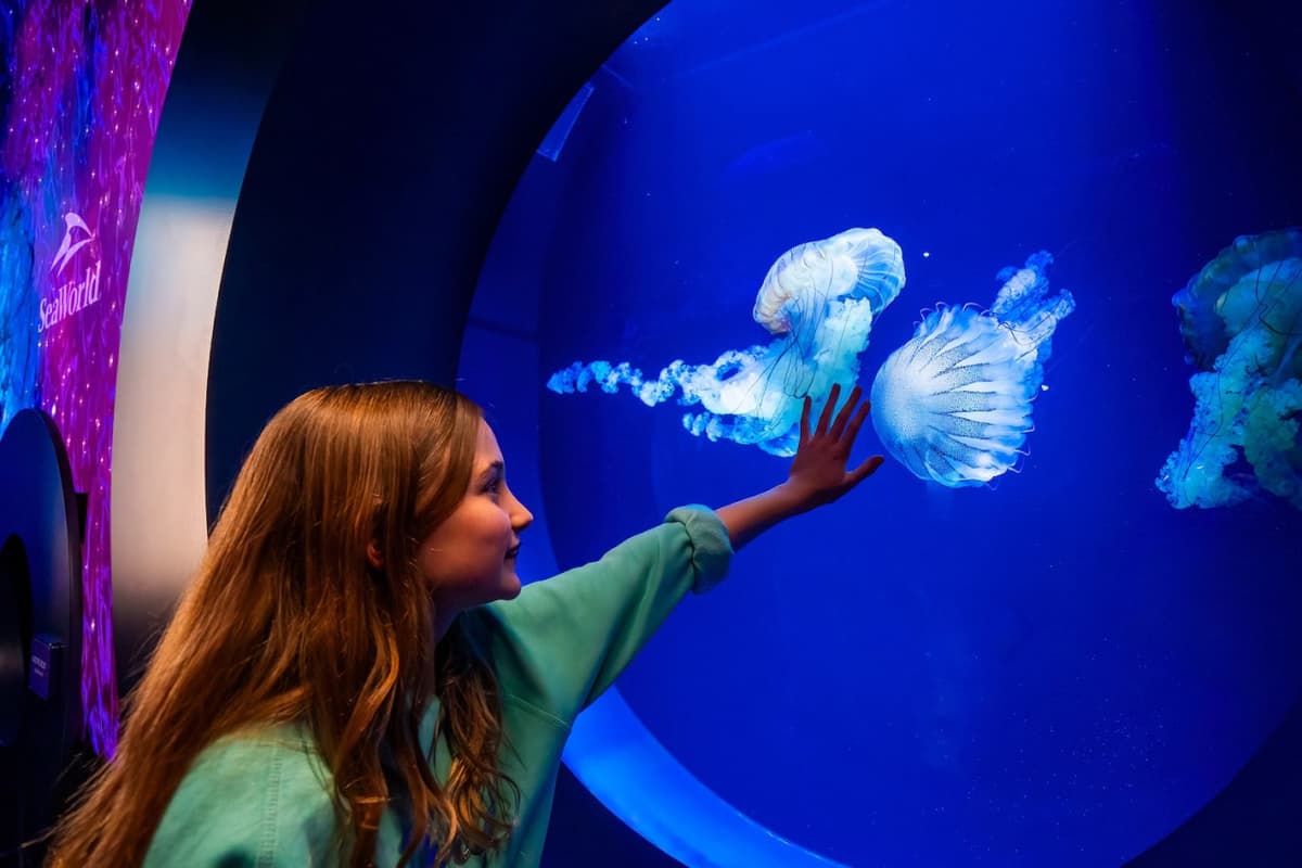 SeaWorld San Diego Ticket: Direct Entry