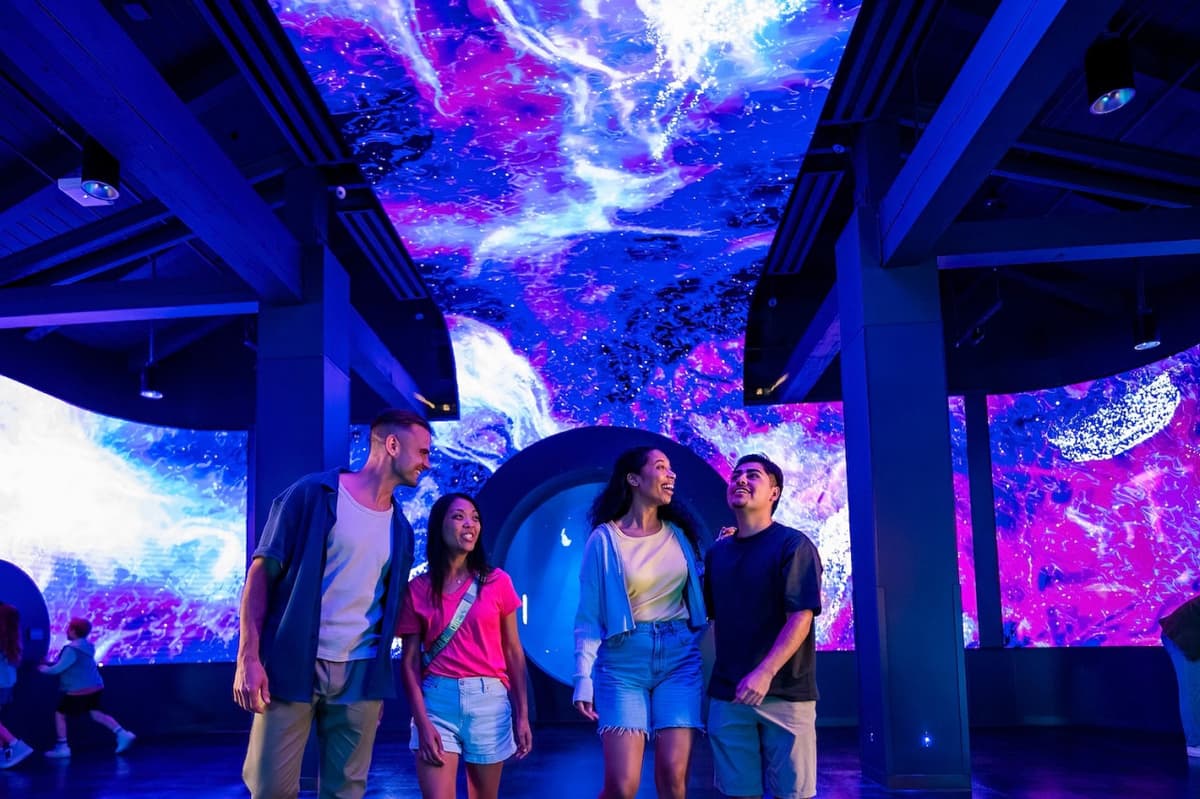 SeaWorld San Diego Ticket: Direct Entry