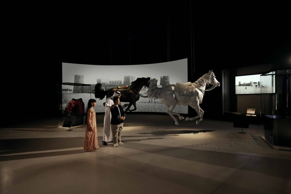 COMBO: Zayed National Museum + Natural History Museum Abu Dhabi Tickets