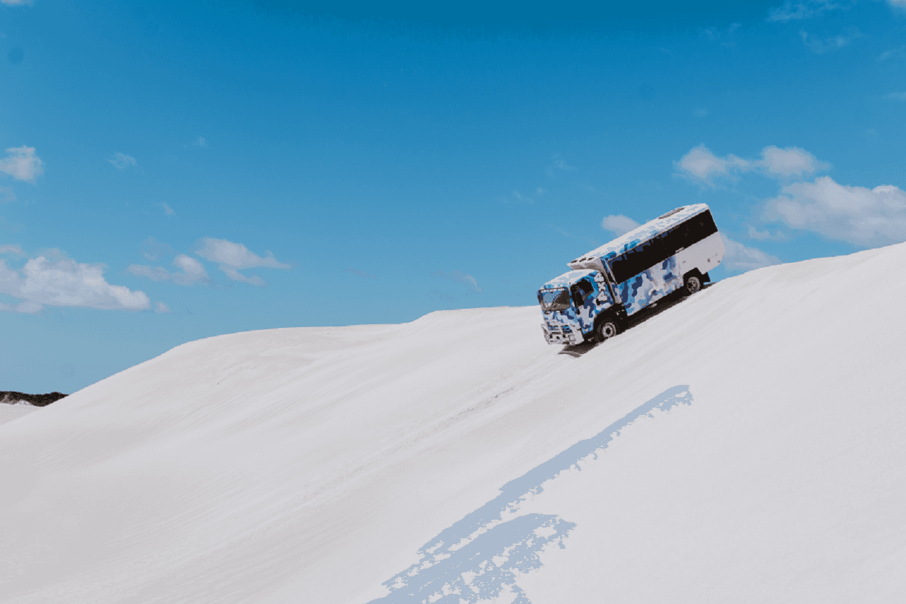 Pinnacles Desert Tour with 4WD Adventure from Perth