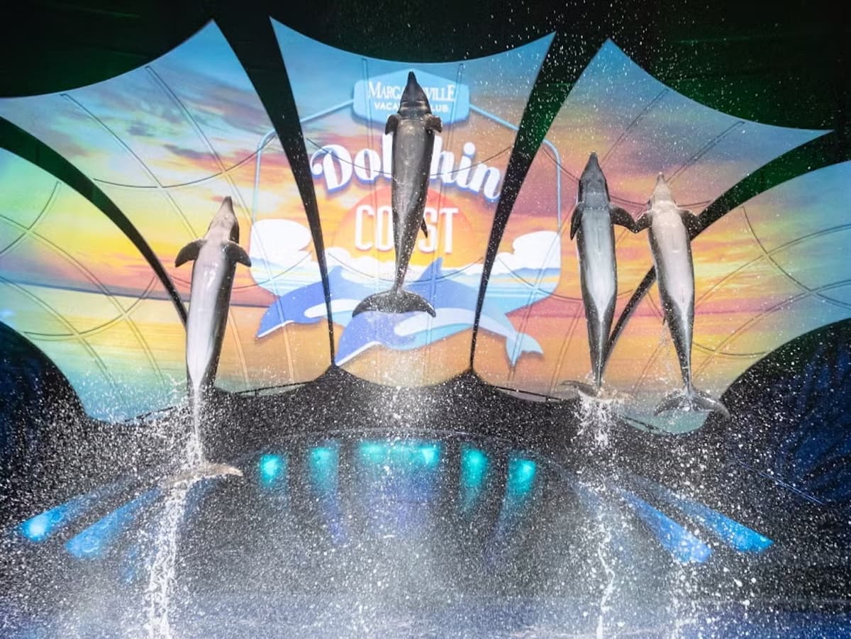 Georgia Aquarium: Fast Track Ticket