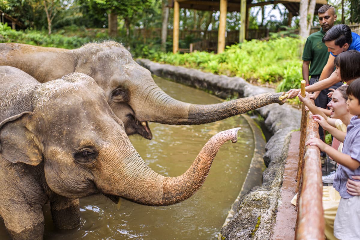 Singapore Zoo Ticket
