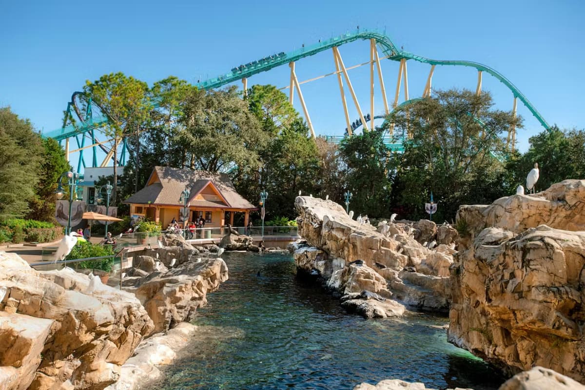 SeaWorld Orlando Ticket: Direct Entry + Optional All-Day Dining Deal + Multi-Park Discount Ticket