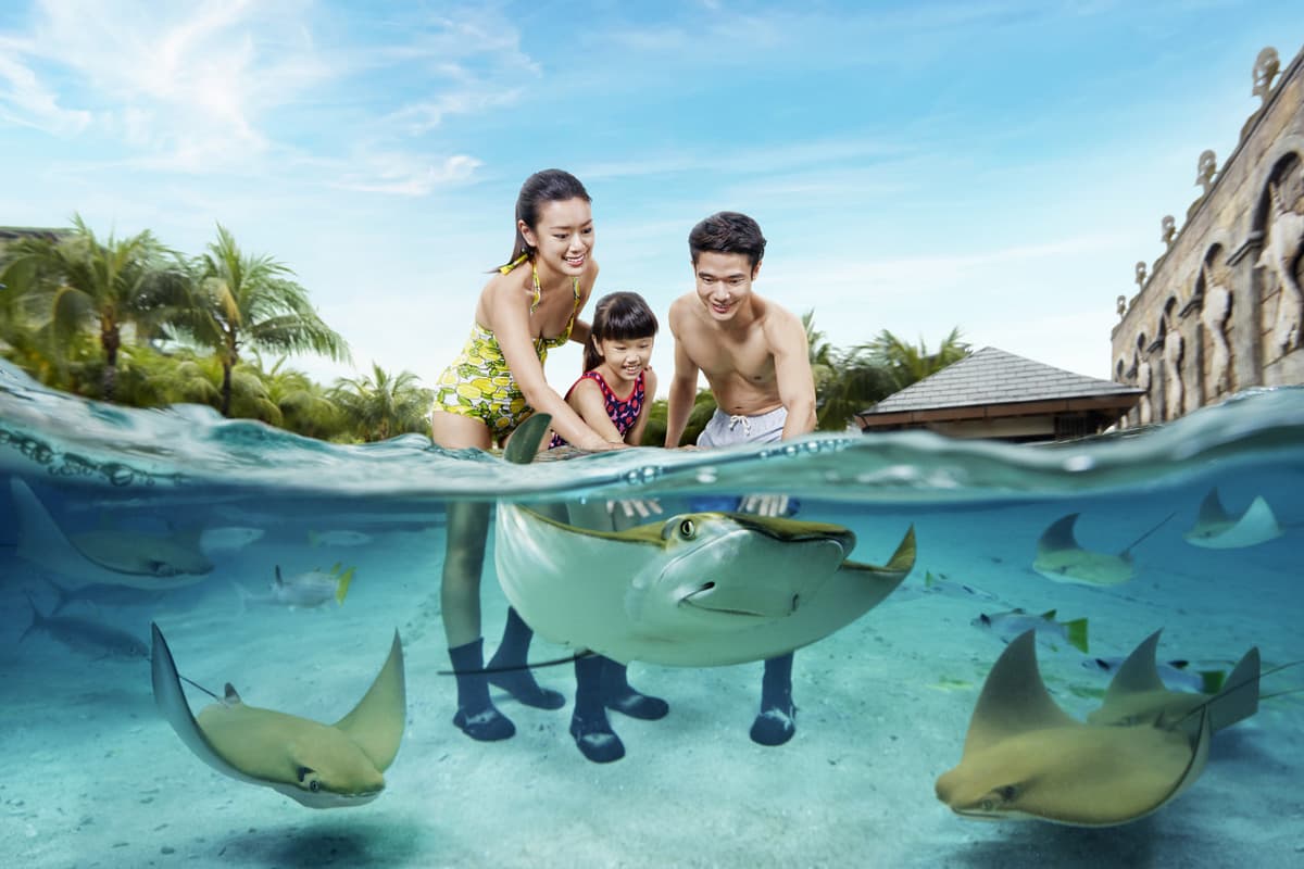 COMBO: Adventure Cove Waterpark + Gardens by the Bay Ticket