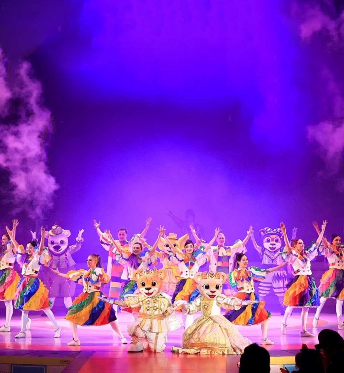 Everland Theme Park with Round Trip Transfers from Seoul