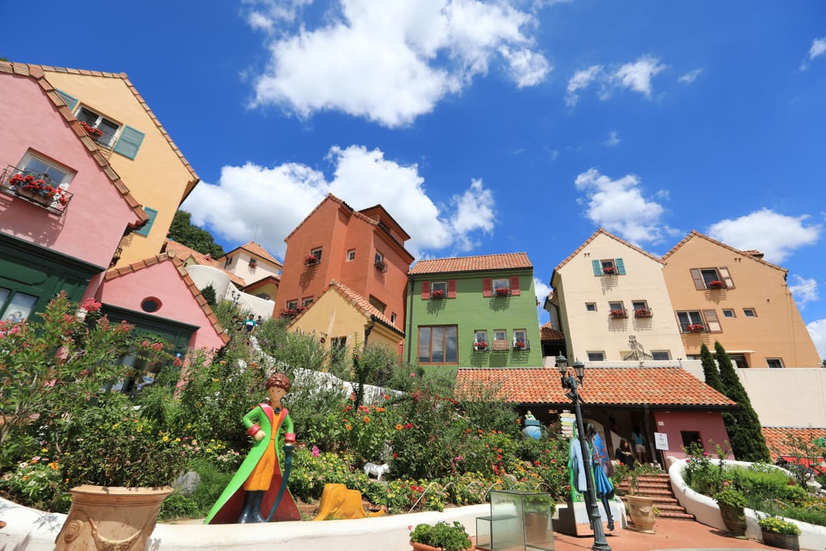 Nami Island, Petite France, Italian Village, and Garden of Morning Calm Tour from Seoul
