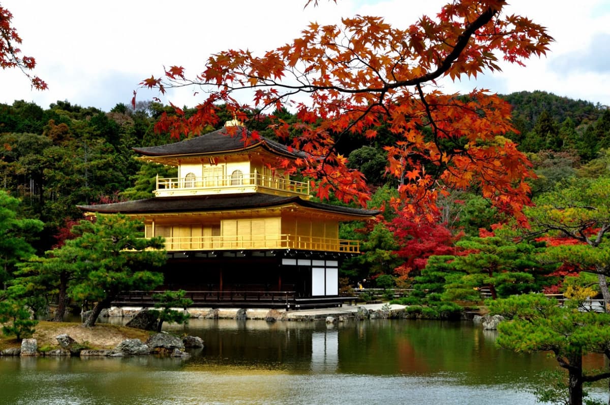 Kyoto and Nara Bus Tour