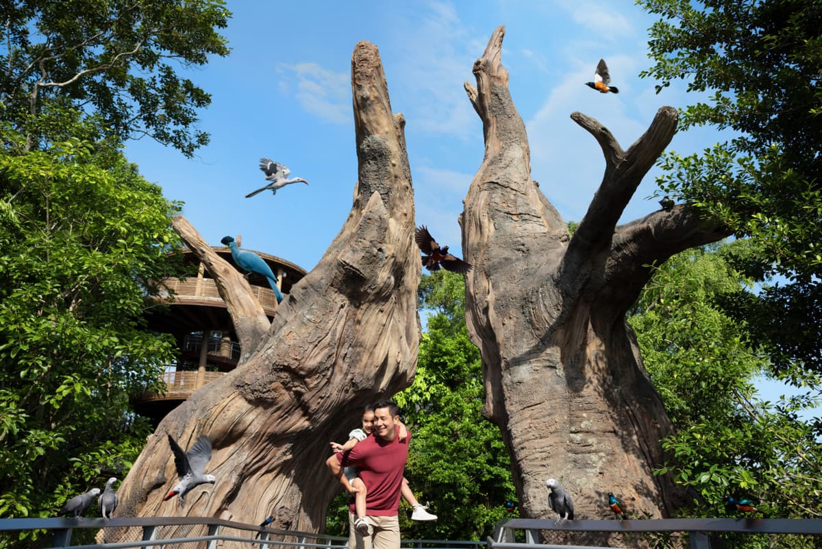 Singapore Bird Paradise Ticket