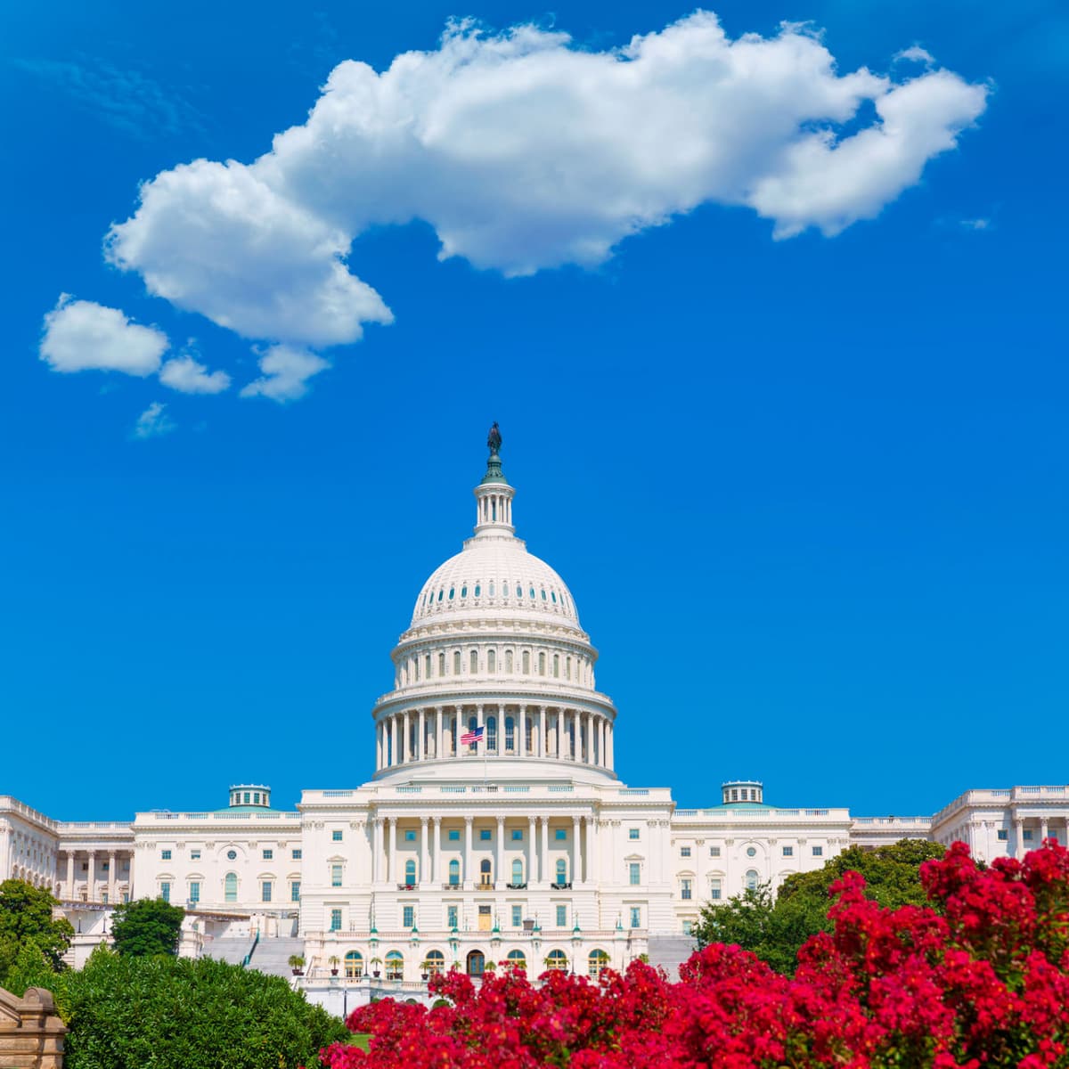 Washington DC and Philadelphia Tour from New York