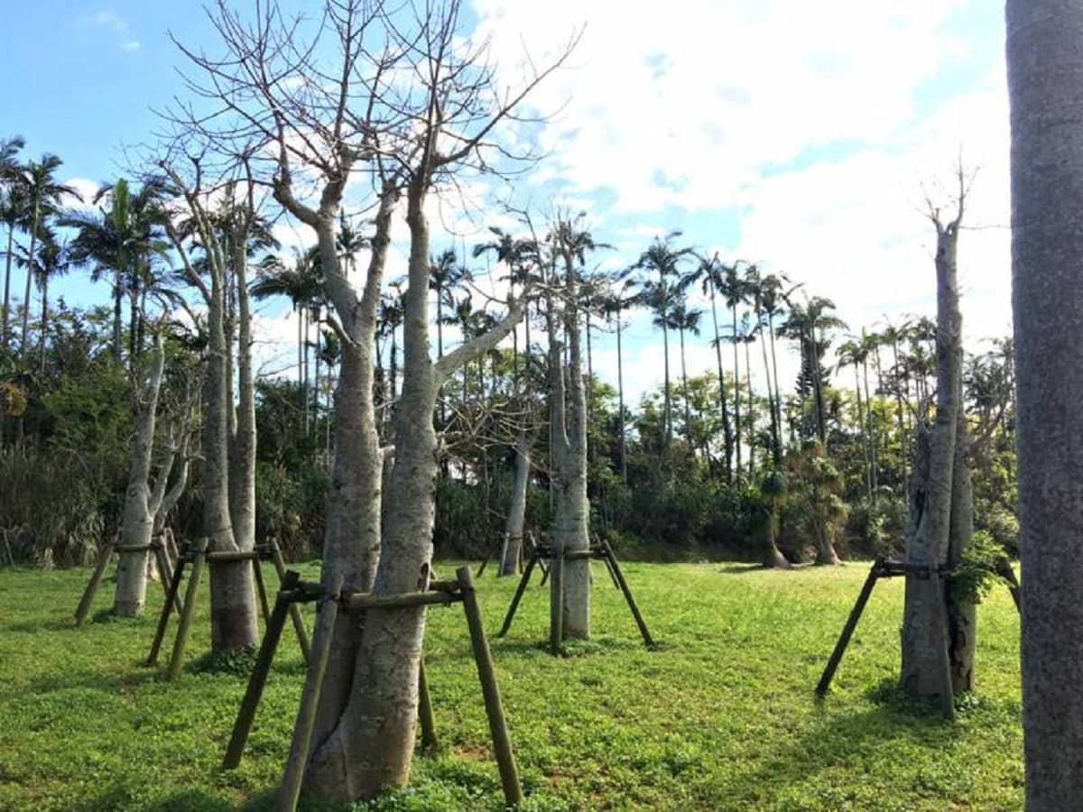 Okinawa Southeast Botanical Gardens