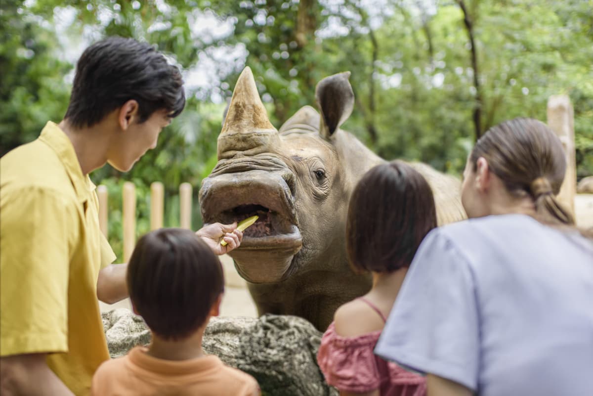 Singapore Zoo Ticket