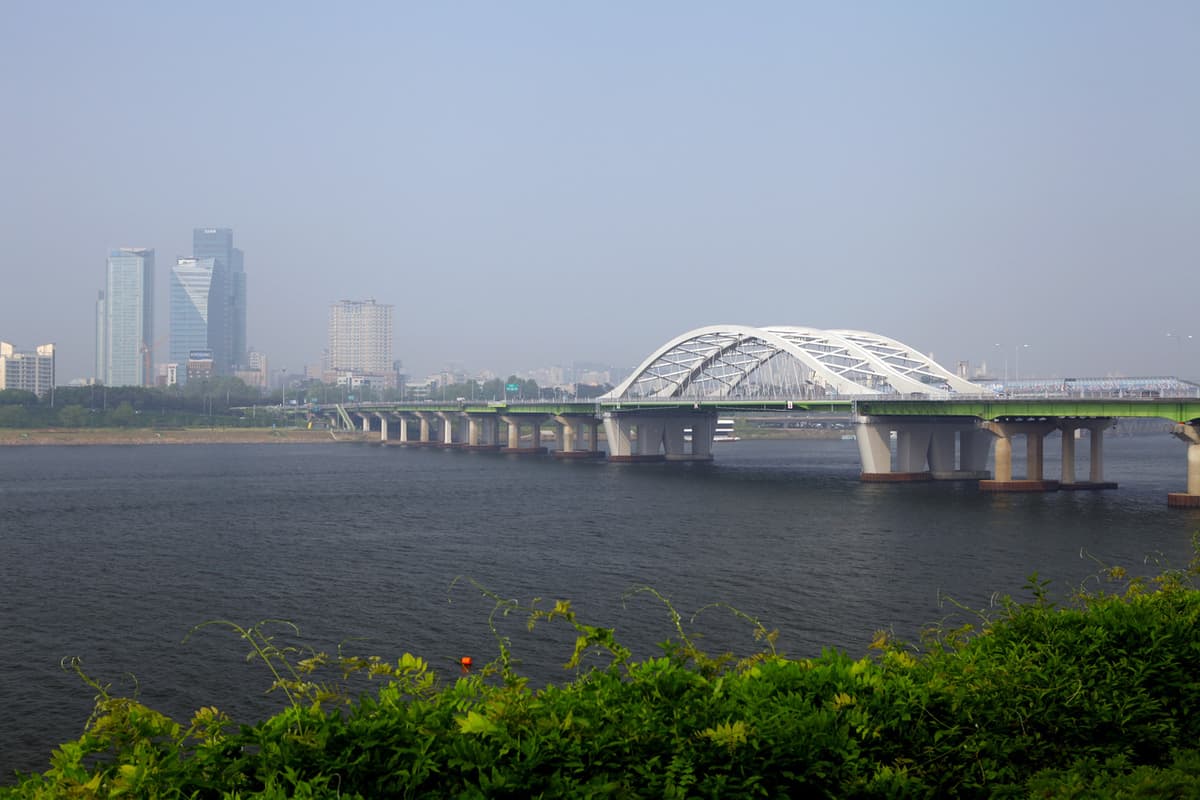 Han River Cruise and Mount Namsan Tour