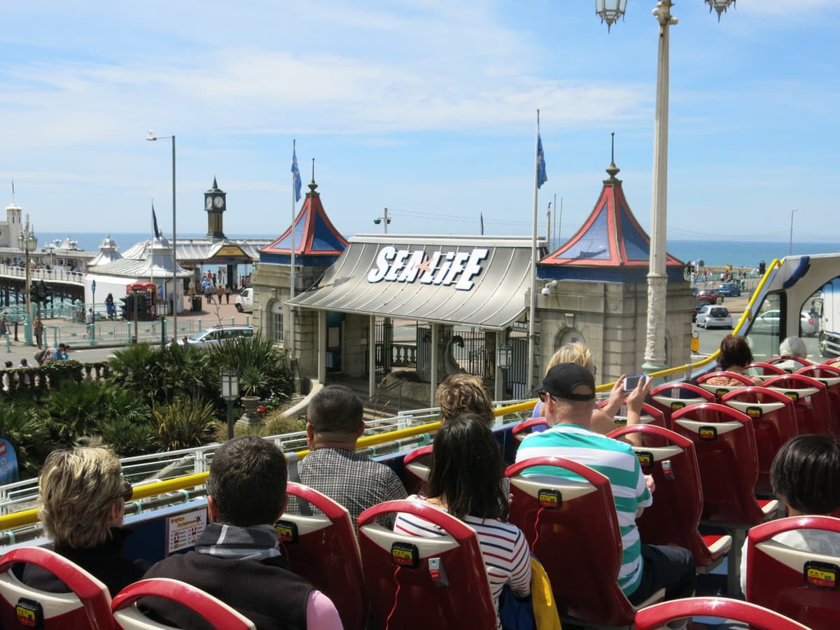 City Sightseeing Brighton Hop-on Hop-off Bus Tour