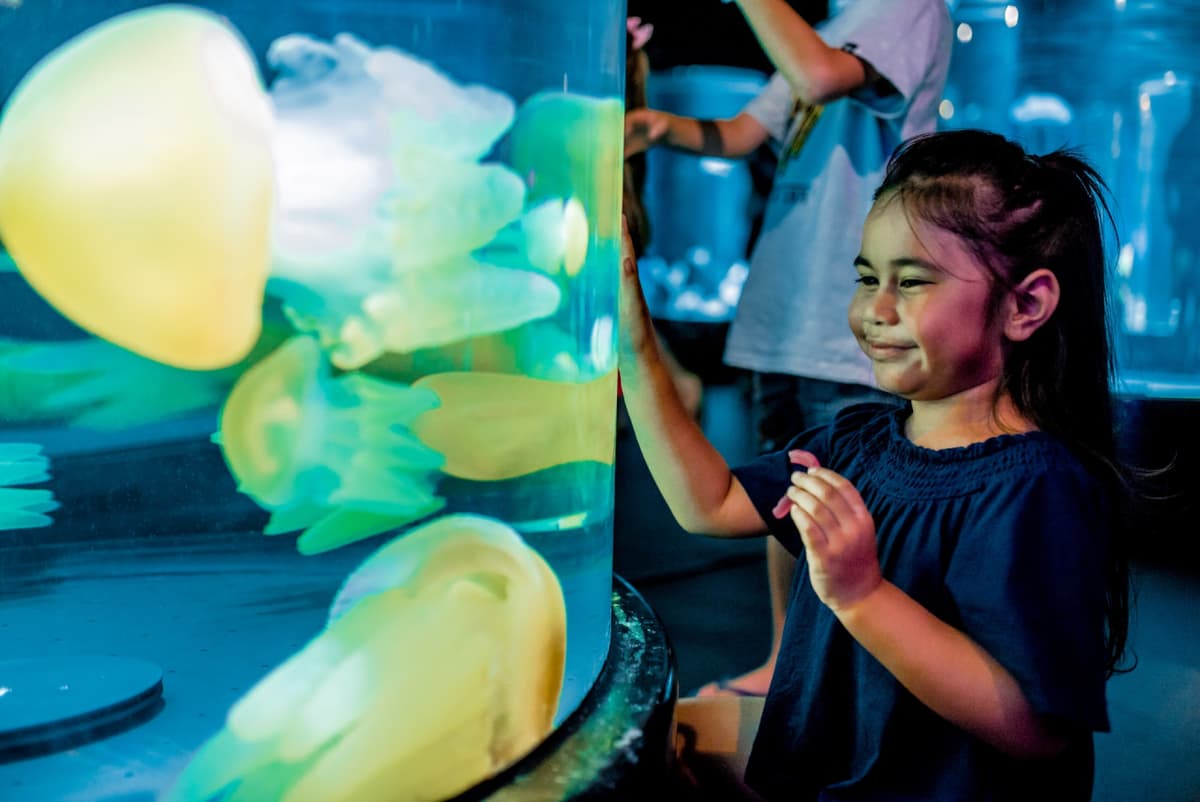 Sydney Multi-Attraction Pass