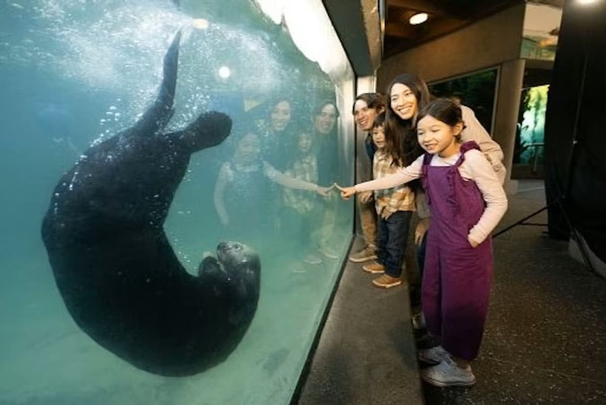 Vancouver Aquarium Ticket