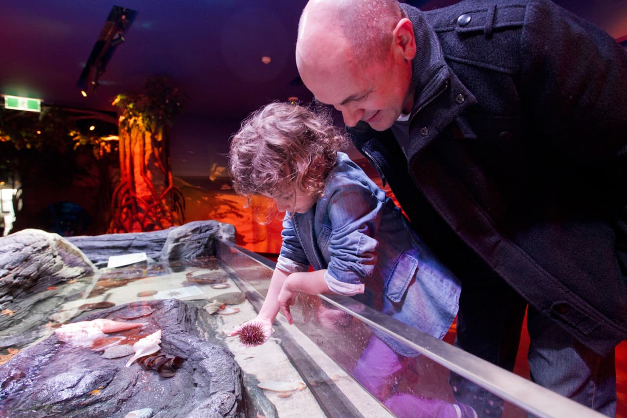 COMBO: Melbourne Skydeck + SEA LIFE Melbourne Aquarium Tickets