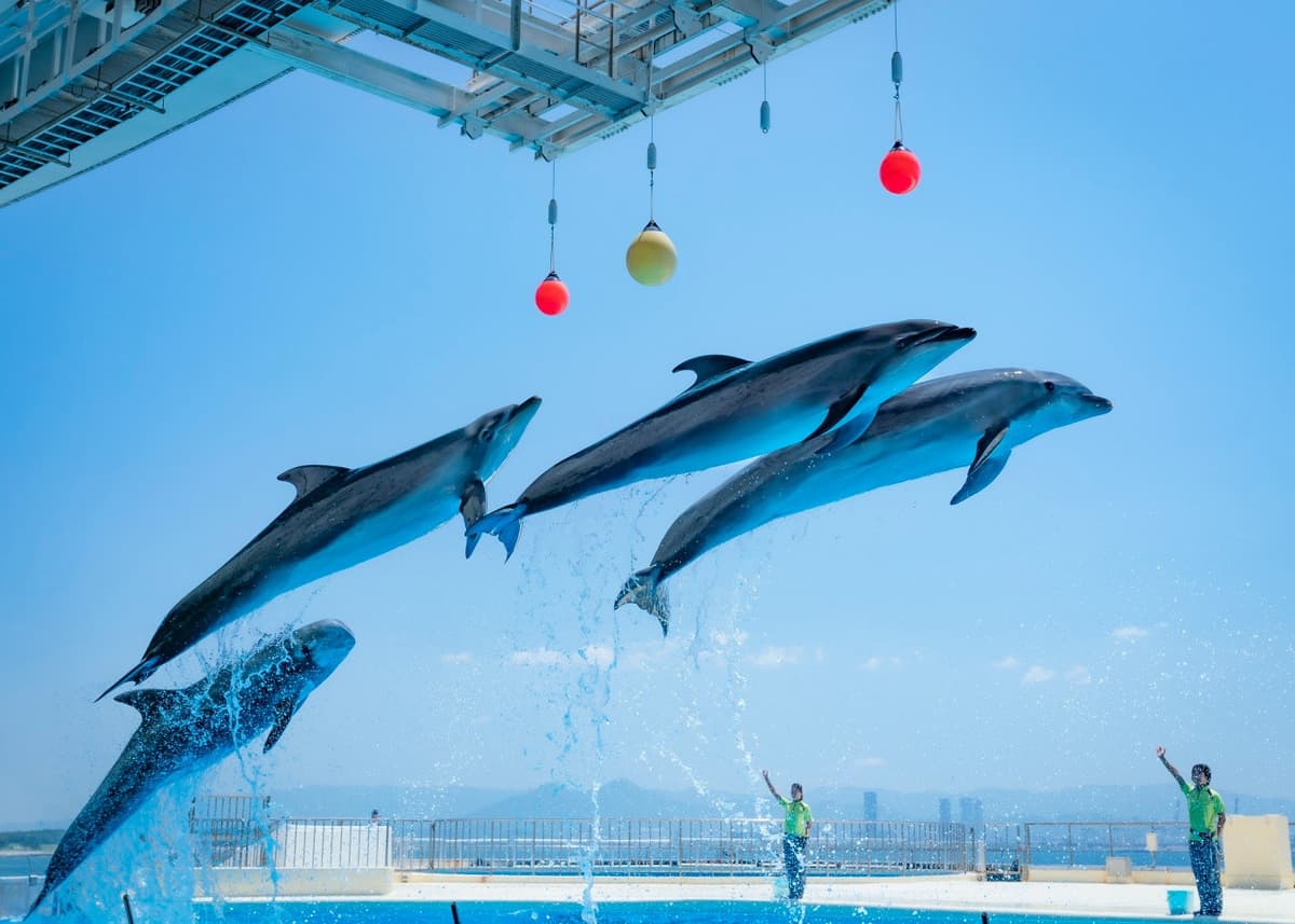 Marine World Uminonakamichi