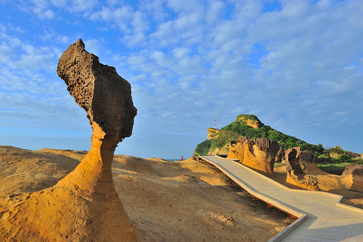 COMBO: Taipei 101 Observatory + Yehliu Geopark