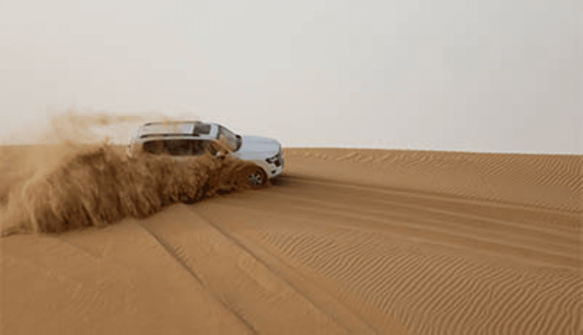 Sunrise Desert Safari Tour from Abu Dhabi