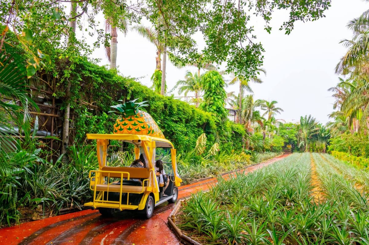 Okinawa Nago Pineapple Park