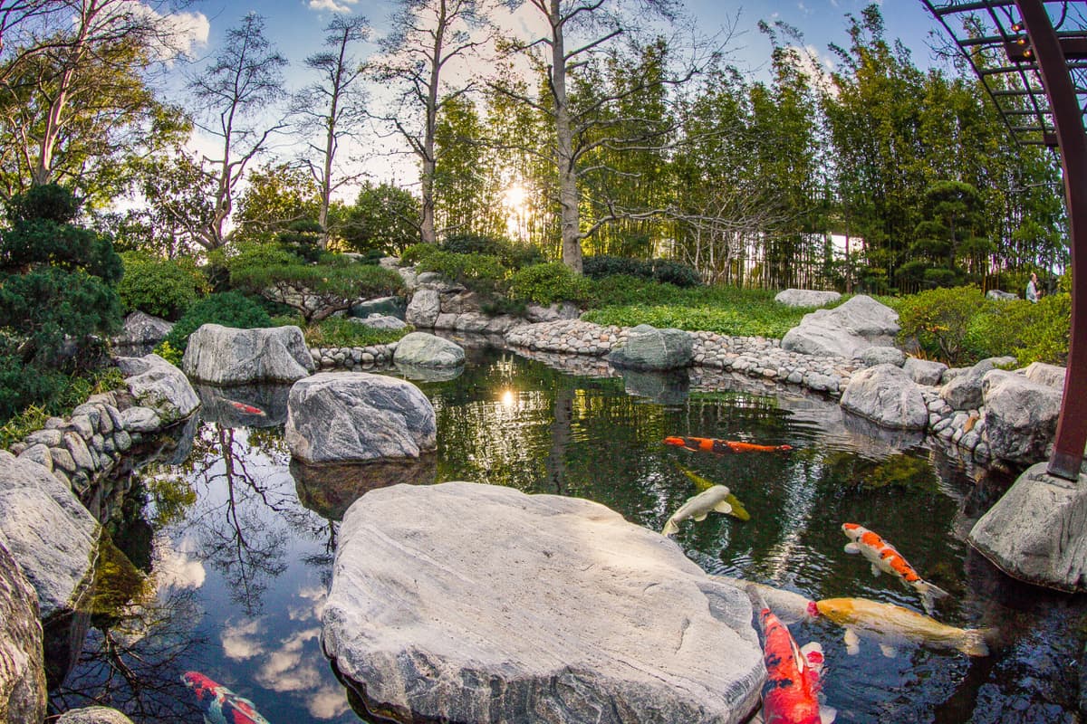 Go City San Diego Explorer Pass: Save up to 50% on Attractions
