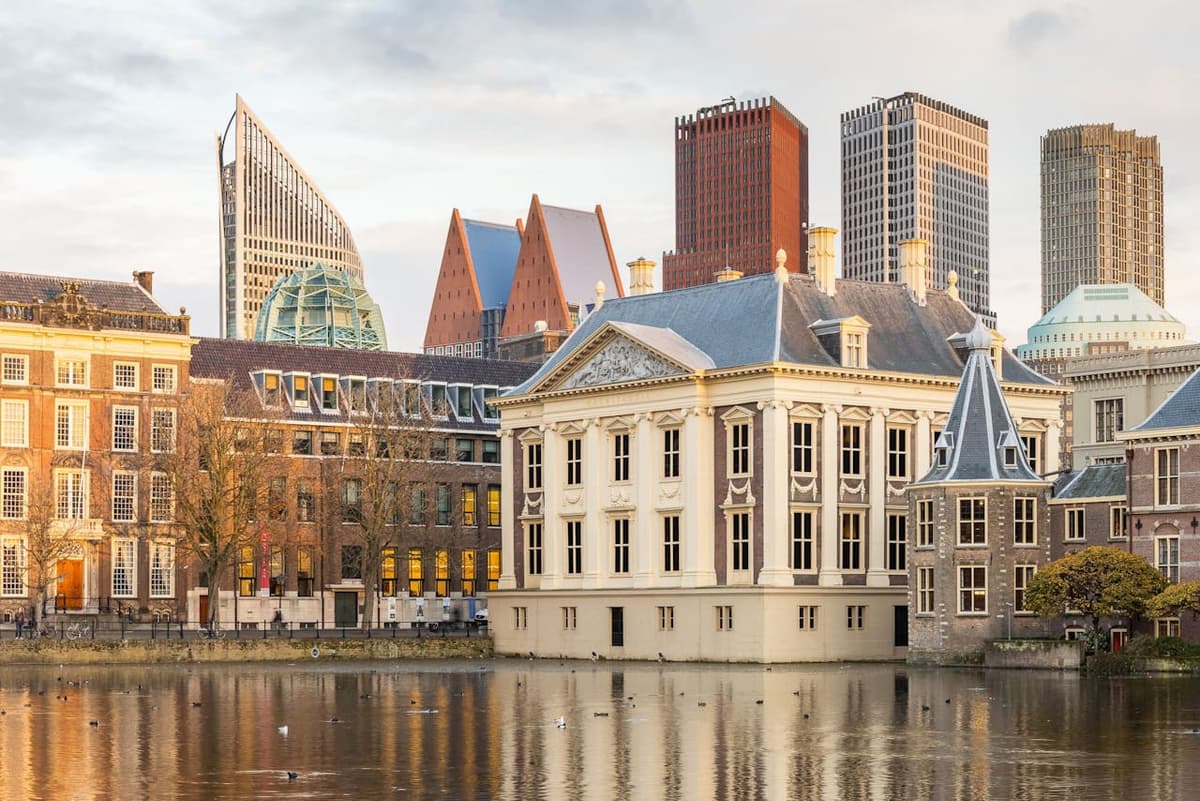 The Mauritshuis Museum Ticket