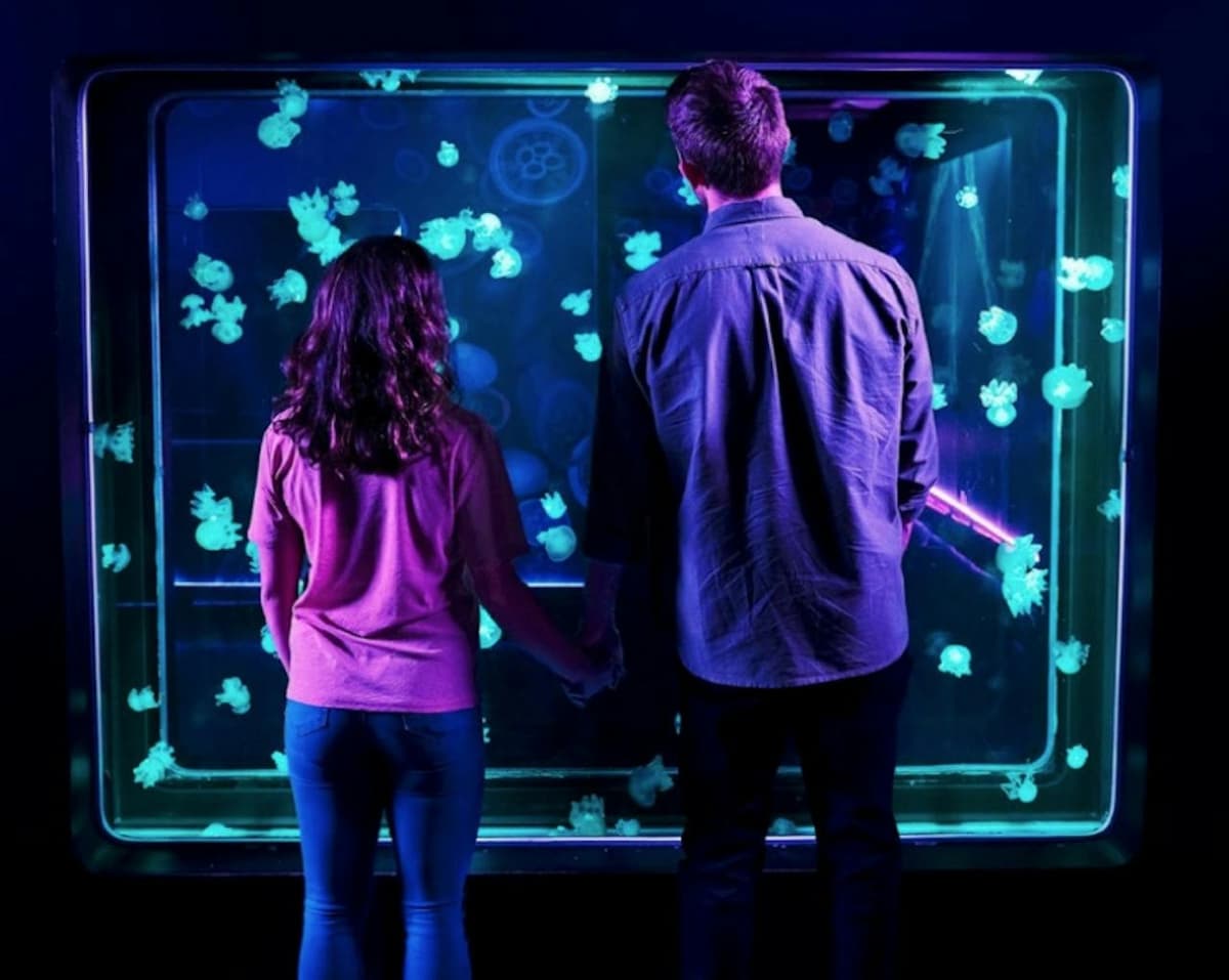 SEA LIFE New Jersey Aquarium Ticket