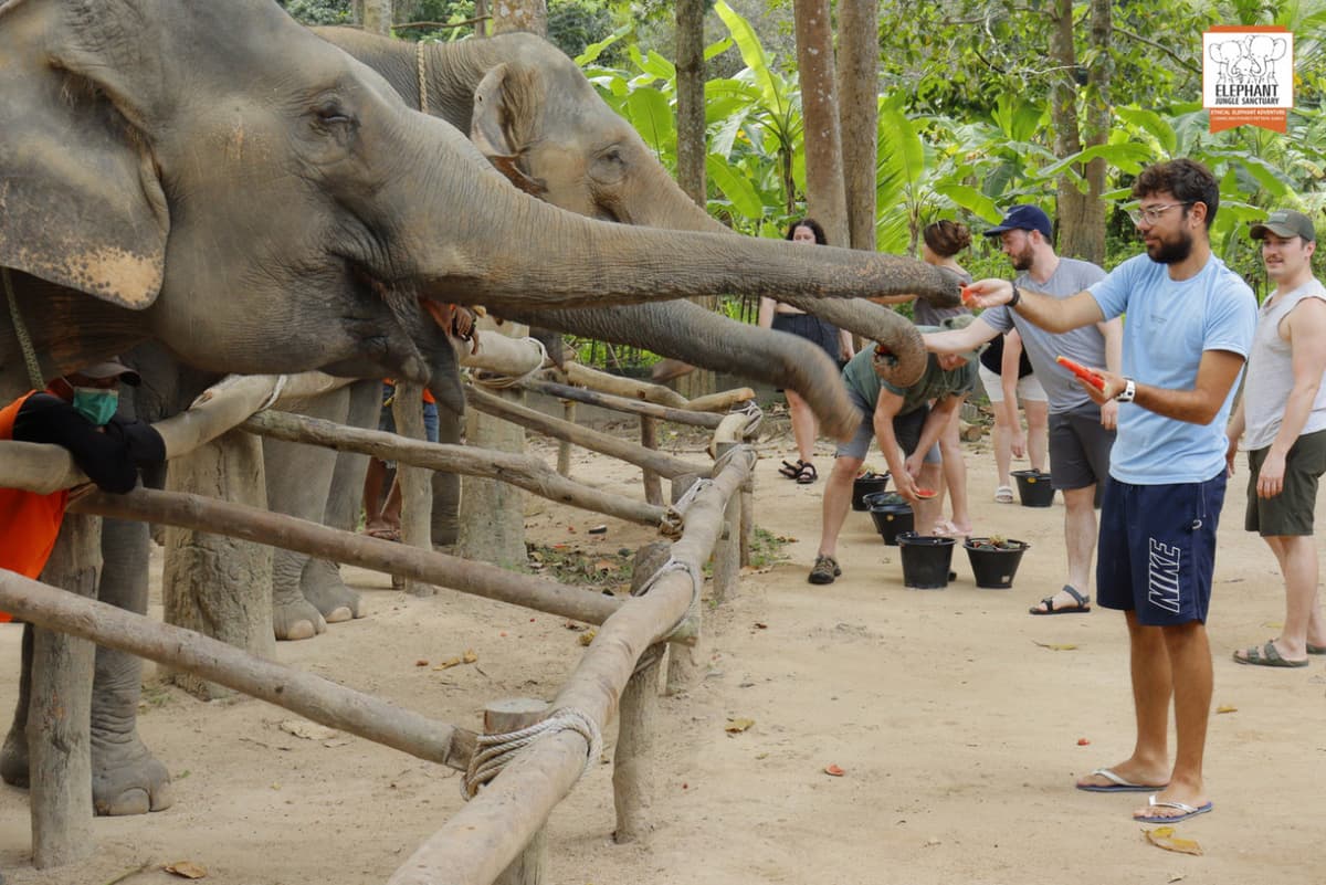 Elephant Jungle Sanctuary Koh Samui