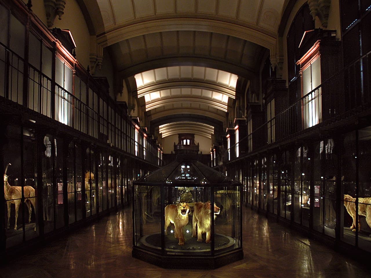 Grande Galerie de l'Évolution: Skip The Line