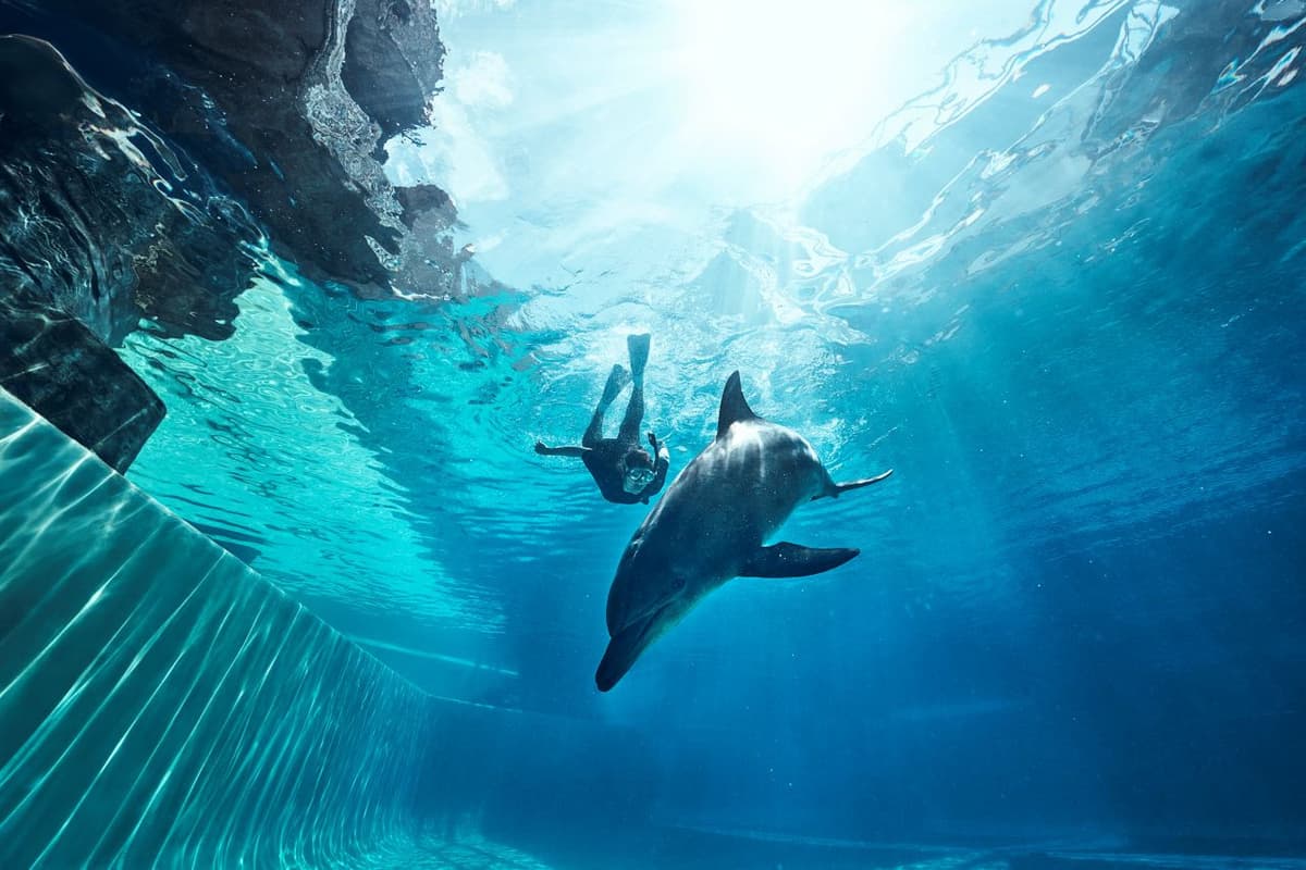 Singapore Oceanarium Ticket