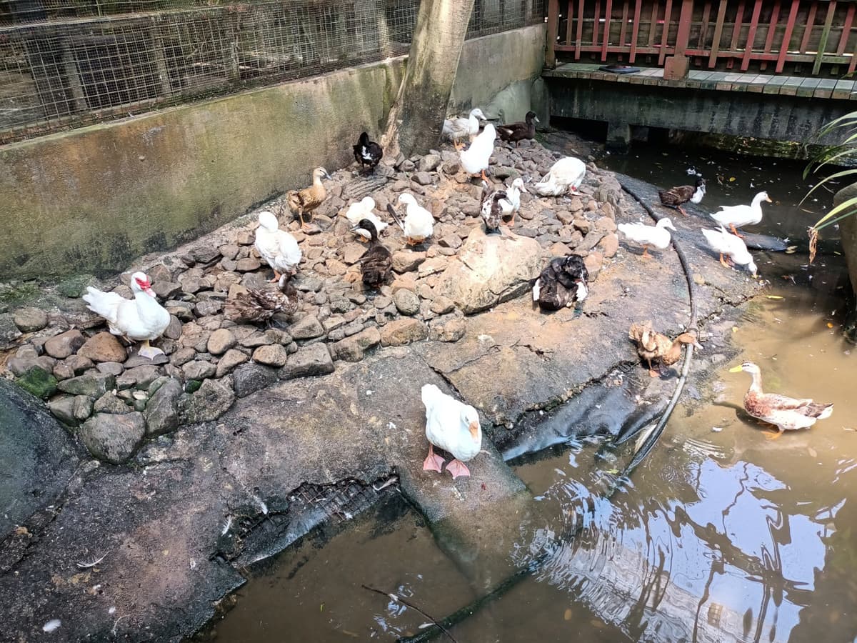Langkawi Wildlife Park