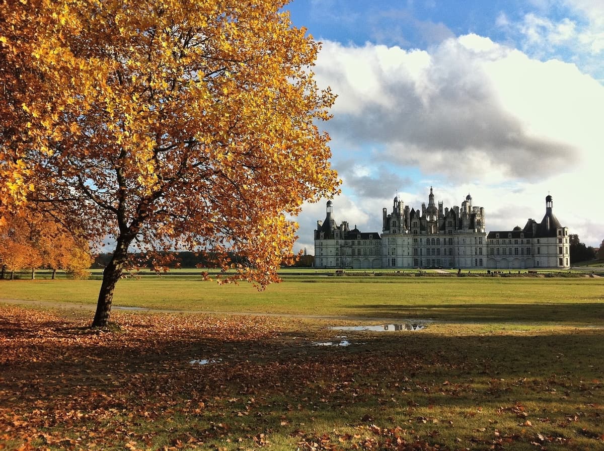 Loire Valley Tour from Paris: Chambord, Chenonceau, and Cheverny Castles