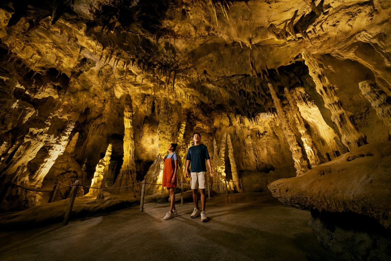 2-Park Destination Pass: Singapore Night Safari + Rainforest Wild Adventure Tickets