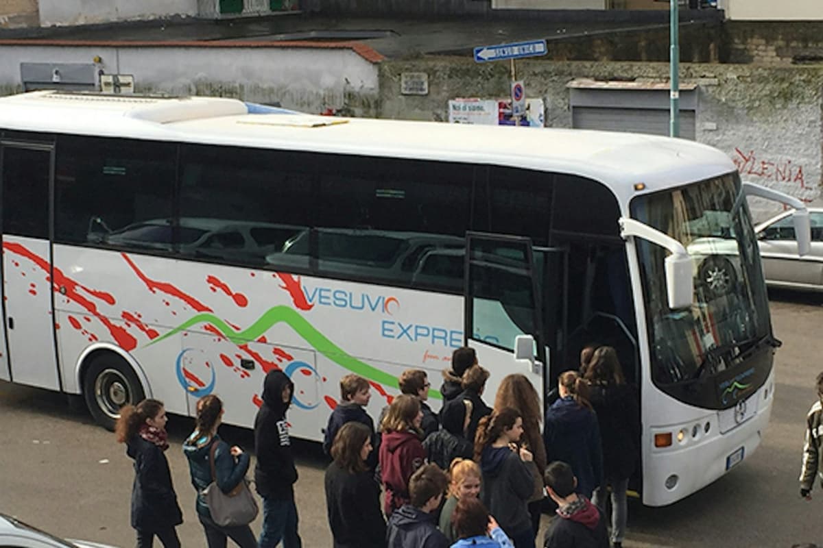 Mount Vesuvius: Vesuvio Park Entry + Roundtrip from Ercolano