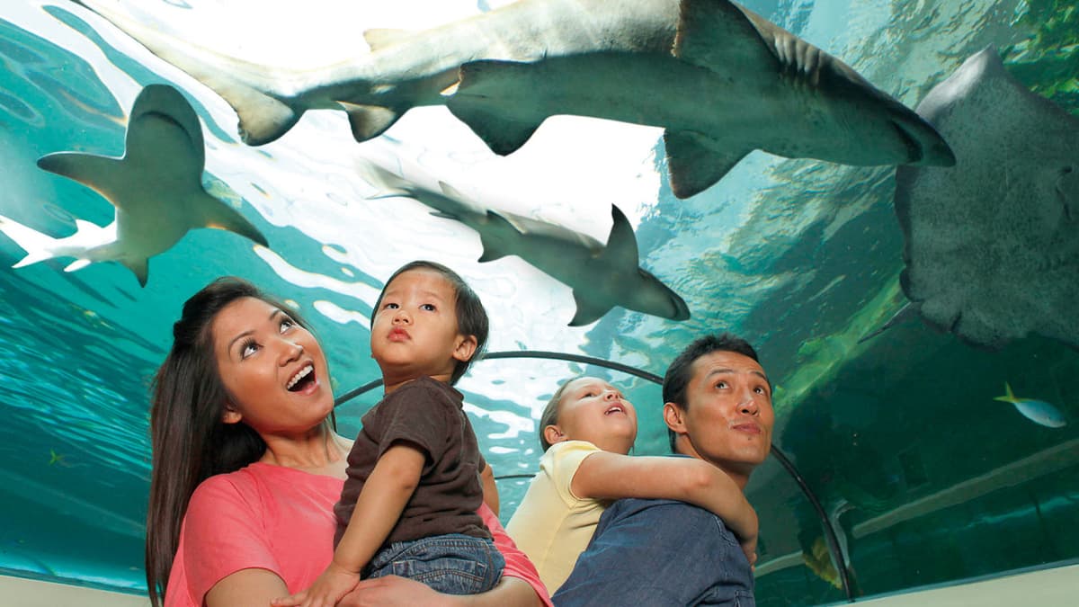 SEA LIFE New Jersey Aquarium Ticket
