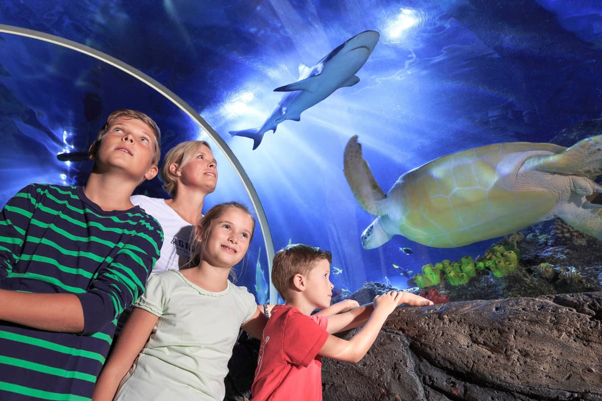 SEA LIFE Timmendorfer Strand Aquarium Ticket