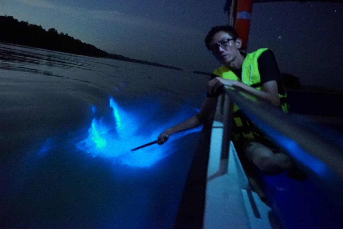 Blue Tears Boat Cruise in Kuala Selangor