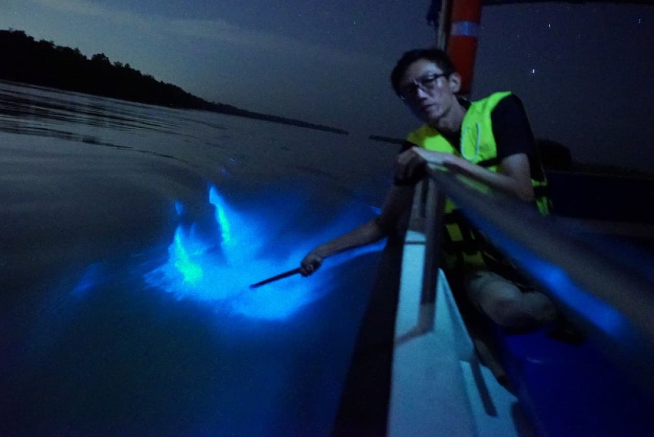 Blue Tears Boat Cruise in Kuala Selangor
