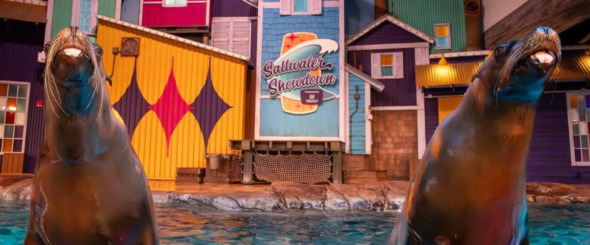 Georgia Aquarium: Fast Track Ticket