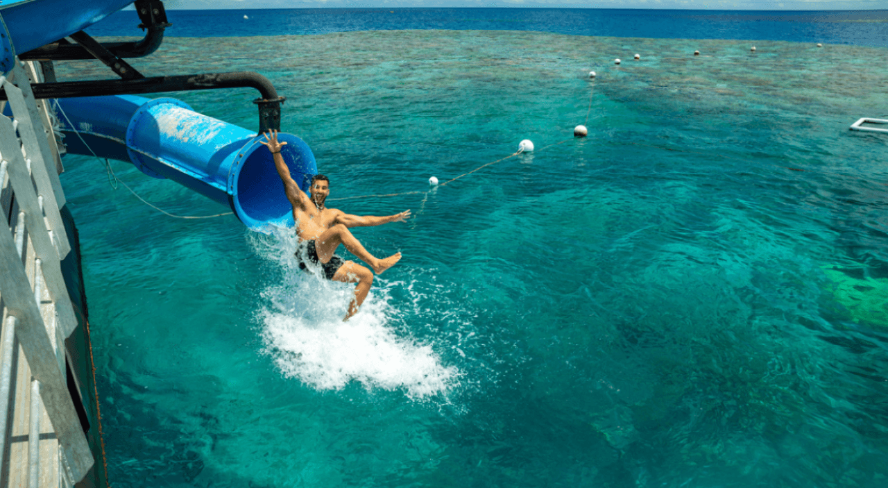 Great Barrier Reef Pontoon Full-Day Tour at Moore Reef