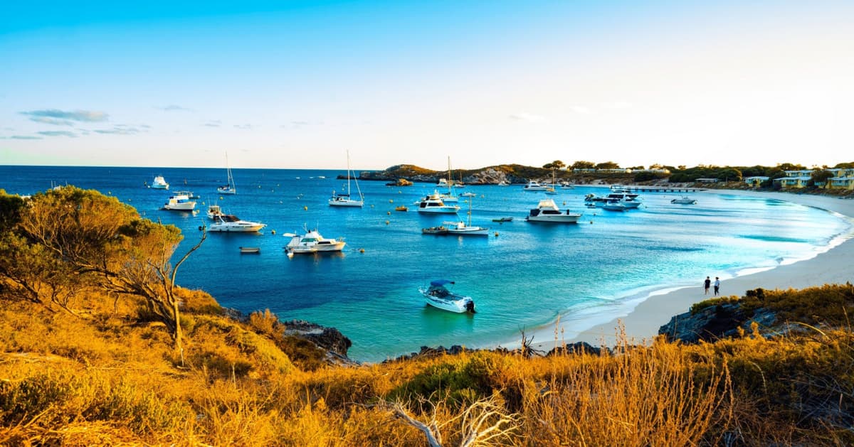 Rottnest Island Bayseeker Bus Tour with Round Trip SeaLink Ferry Transfer