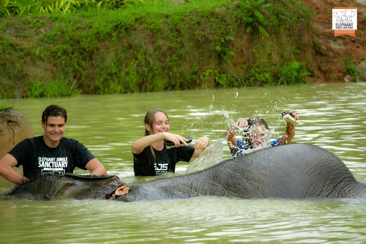 Elephant Jungle Sanctuary Phuket