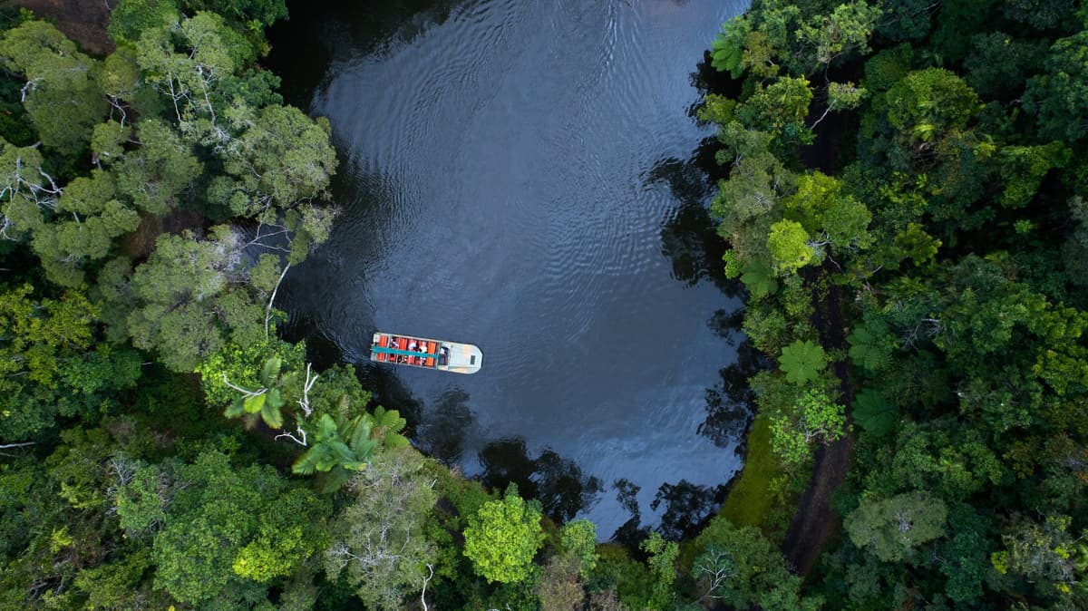 Rainforestation Nature Park Experiences