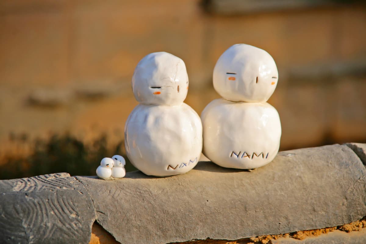 Nami Island, Petite France, Italian Village, and Garden of Morning Calm Tour from Seoul