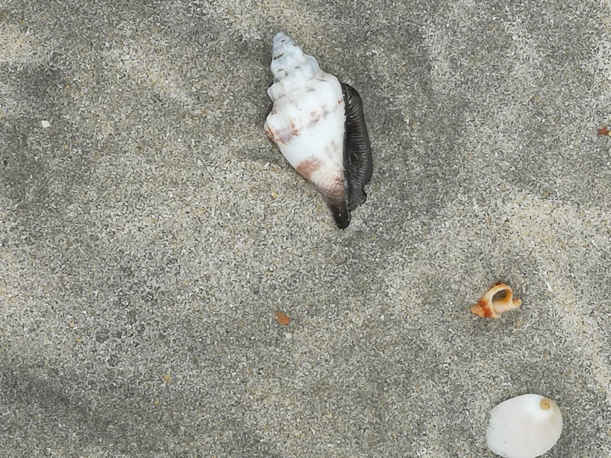 Desaru Beach and Tide Pool Walk