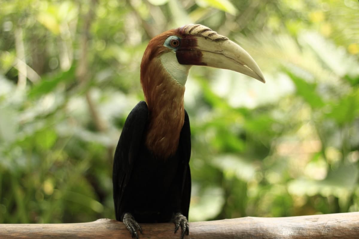 Lombok Wildlife Park